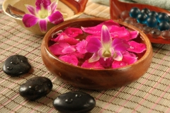 aromatherapy_ essential_oils